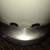 Simplehuman step-on trash can 3 thumbnail