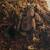 Tarantulas 1 thumbnail