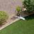 Palm Tree trimming shrub trimming Landscape clean up 3 thumbnail