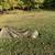 Canvas Cutter Summit Nylon Bedroll 1 thumbnail
