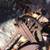 Vintage hand water pumps 1 thumbnail