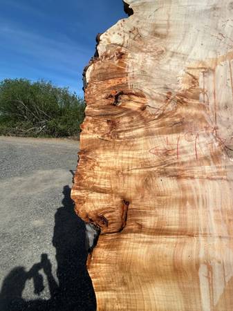 Maple Slabs: Kiln Dried