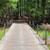 Sugar Camp Chain of Lakes Access. Wooded lot 14 thumbnail