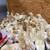 Cinnamon Queen (chicks) 3 thumbnail