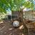 Bushwick - Beautiful 3 Bedroom - Backyard - Dishwasher - No fee!! 8 thumbnail
