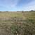 Horse Boarding 5 thumbnail