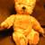 Antique STEIFF BEARS BLANK BUTTON 14 thumbnail