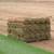 Sod installation(i take credit cards ) 13 thumbnail