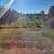 OPEN HOUSE 10/19 Ranch Home, Country 6.5 acres. Oswego/Hannibal area. 14 thumbnail