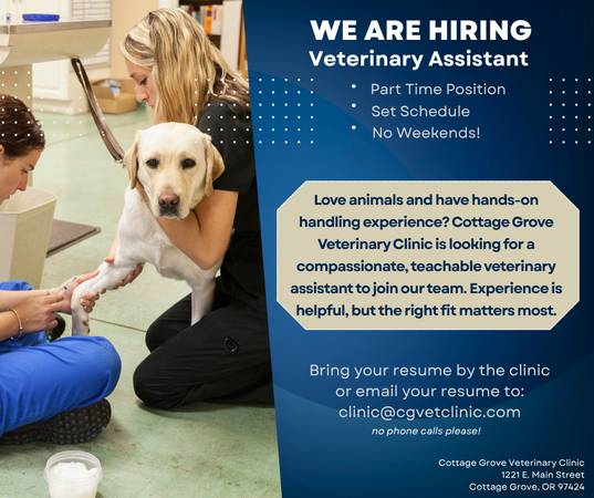 Part‑time Veterinary Assistant 1