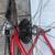 Serotta Fierte 60/57cm for 5'10"-6'3" 3 thumbnail