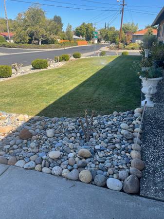 $1,200 / 5br - Sunny Bedroom Suite Available (Concord)63826176757763120
