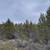 Buildable 32 Adjoining Acres East of Prineville Reservoir 19 thumbnail