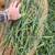 Beardless Wheat Hay - 14.5% rounds 12 thumbnail