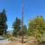 Telephone poles/Utility poles/Power poles 8 thumbnail
