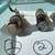1964-1972 Chevelle Monte Calo Buick Cigarrent light 3 thumbnail