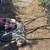 Lawn mower 1 thumbnail
