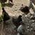 Silkie chickens 3 thumbnail