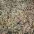 Sheep goat pig chicken turkey feed grain 1 thumbnail