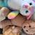Build a Bears 10 thumbnail
