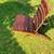 Adirondack Chairs From Wine Barrels 3 thumbnail