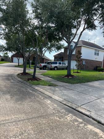 ⚡ Emergency Tree Removal & Storm Cleanup – Same Day (Houston) 1