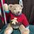 Vintage Gund Bear 2 thumbnail