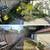 Junk Removal•Window Cleaning•Yard Trimming•Pressure Washing•Cleaning 7 thumbnail