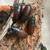 Colony of hissing roaches 1 thumbnail
