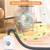 NEW*👉🏻 Self Cleaning Multiple Cat Litter Box 68 L App Control 5 thumbnail