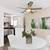 Plank Flooring, $1000 Off Special, 2 Bedroom 2 Bath in Brentwood 16 thumbnail