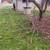 2026 FALL/WINTER PRUNING SERVICES 5 thumbnail