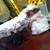 Decorative Wicker Pram (Buggy, Stroller)with Porcelain doll 9 thumbnail