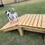Dog Goat Backyard Play Equipment Ramp 9 thumbnail