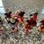 Disney - Mickey Mouse Ornaments (Set of 7) 10 thumbnail