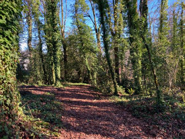 $1,449,000 1.5 Acres en Lake Oswego (Lake Oswego)63842022757761123