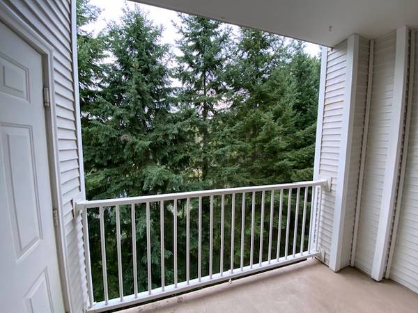 $2,850 / 2br - 1010ft2 - Amplio departamento de 2 habitaciones en una excelente ubicación (Newcastle)63659582361219121