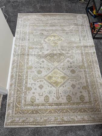 Brand New Rug! 1