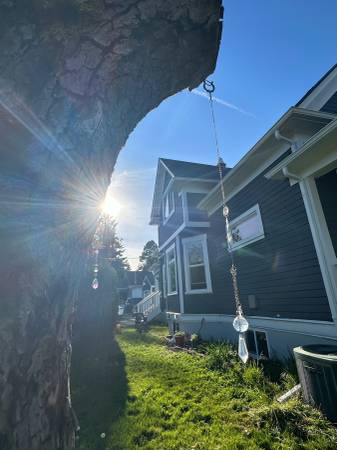 $950 1 room w/ private bath in sunny fragrance-free home (Overlook, N Pdx)63956924952835120