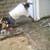 OAK FLOOR-PAINT BATHROOM TILE ROOF CARPENTRY FENCE MASON DRYWAL - FAST 15 thumbnail