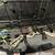 Bowtech Diamond Compound Bow 1 thumbnail
