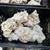 Reef saltwater aquarium, fish tank rock 3 thumbnail