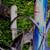 BIKE ATTACHMENT Trek Mountain Train 7 Speed Blue Child Ride On Bicycle 8 thumbnail