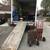 TERRY'S MOVING & DELIVERY -fast and efficient, courteous and reliable! 5 thumbnail