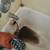 Plumber _ Rooter Drain Service $69.99_ _ Gas leaks _ Copper _ Water Heaters & To 24 thumbnail