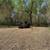 Forestry Mulching|Brush Mowing|Tree Pulling|Fence Removal 13 thumbnail