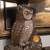 OWL STAND TABLE 18" TALL AND 19" ACROSS 1 thumbnail