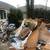 Affordable Junk-Trash Removal & Hauling Same day Service 5 thumbnail