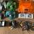 Fire Orange N64  Bundle 2 thumbnail