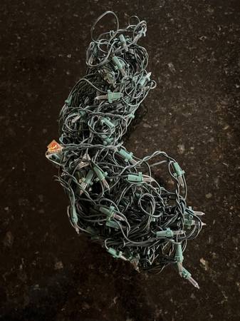 tree trunk wrap white christmas lights 1